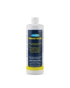 Farnam Thrush Relief