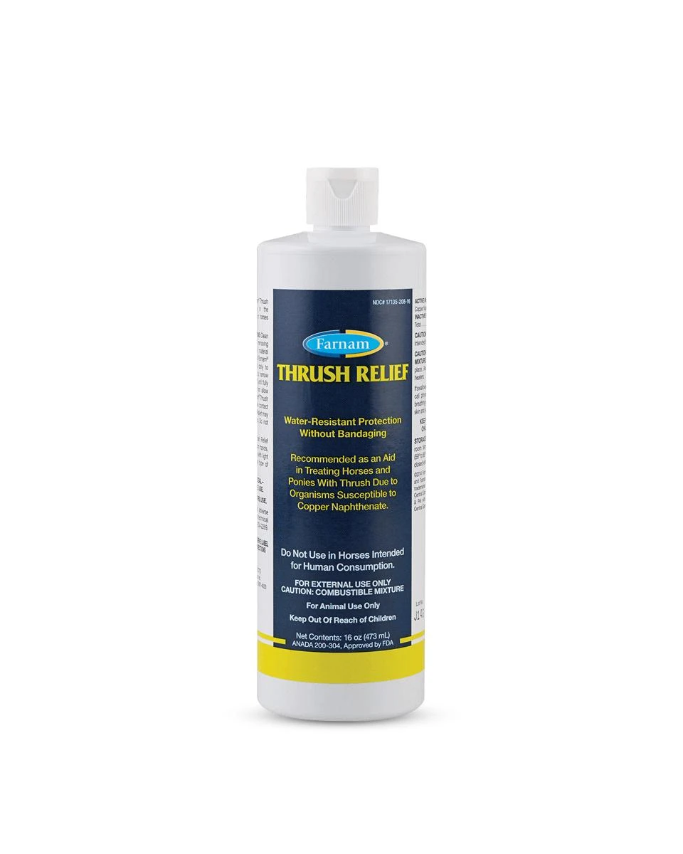 Farnam Thrush Relief 1 Farnam Thrush Relief