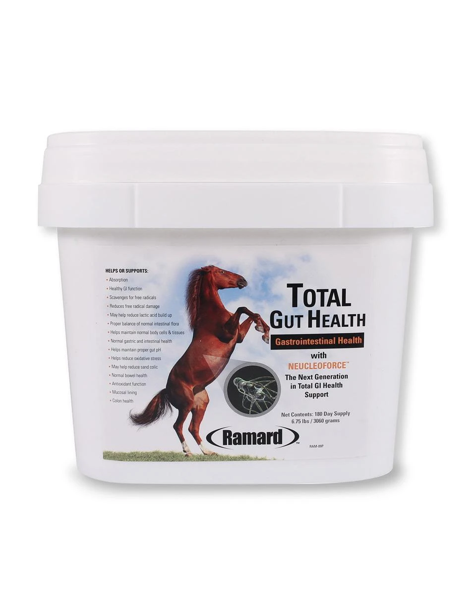 Total Gut Health 2 Total Gut Health - Image 2