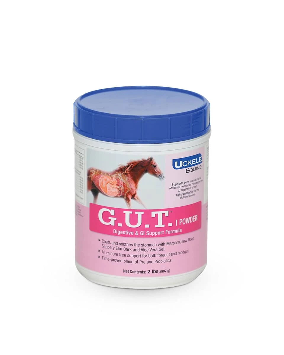 Uckele Gut Powder- 2lb 1 Uckele Gut Powder- 2lb