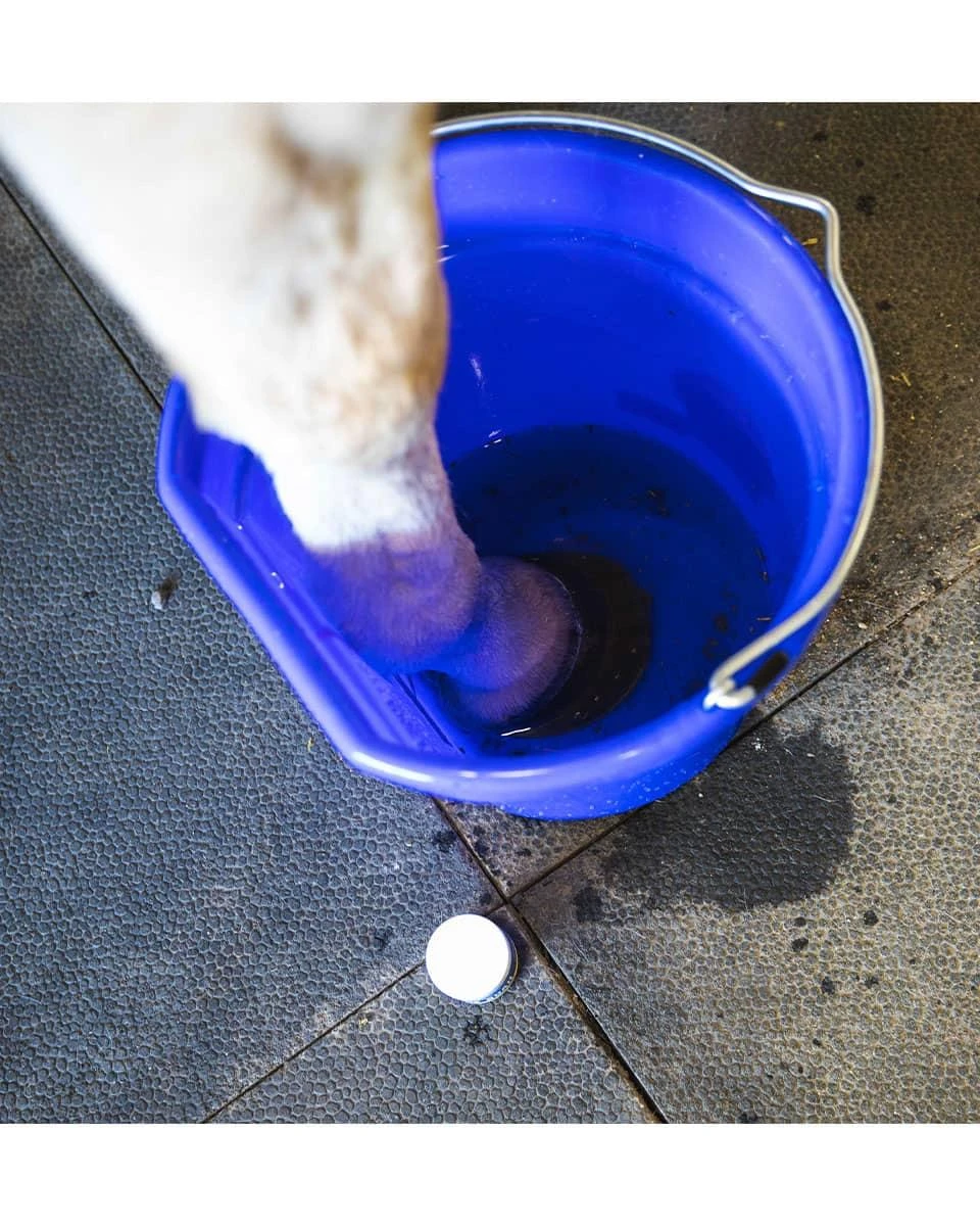 Vetericyn Hoof Soak 5 Vetericyn Hoof Soak - Image 5