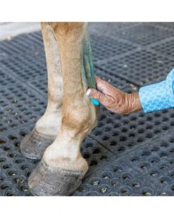 Vetericyn Mobility Equine Liniment 5 Vetericyn Mobility Equine Liniment -Horse Care Supplies Store Vetericyn Mobility Equine Liniment media 3