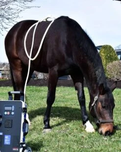 MagnaWave XL Wave Wings 5 MagnaWave XL Wave Wings -Horse Care Supplies Store XL Wave Wings media 3