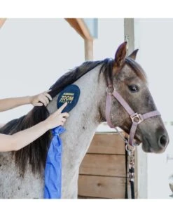 MagnaWave Zoom Paddle -Horse Care Supplies Store Zoom Paddle media 3